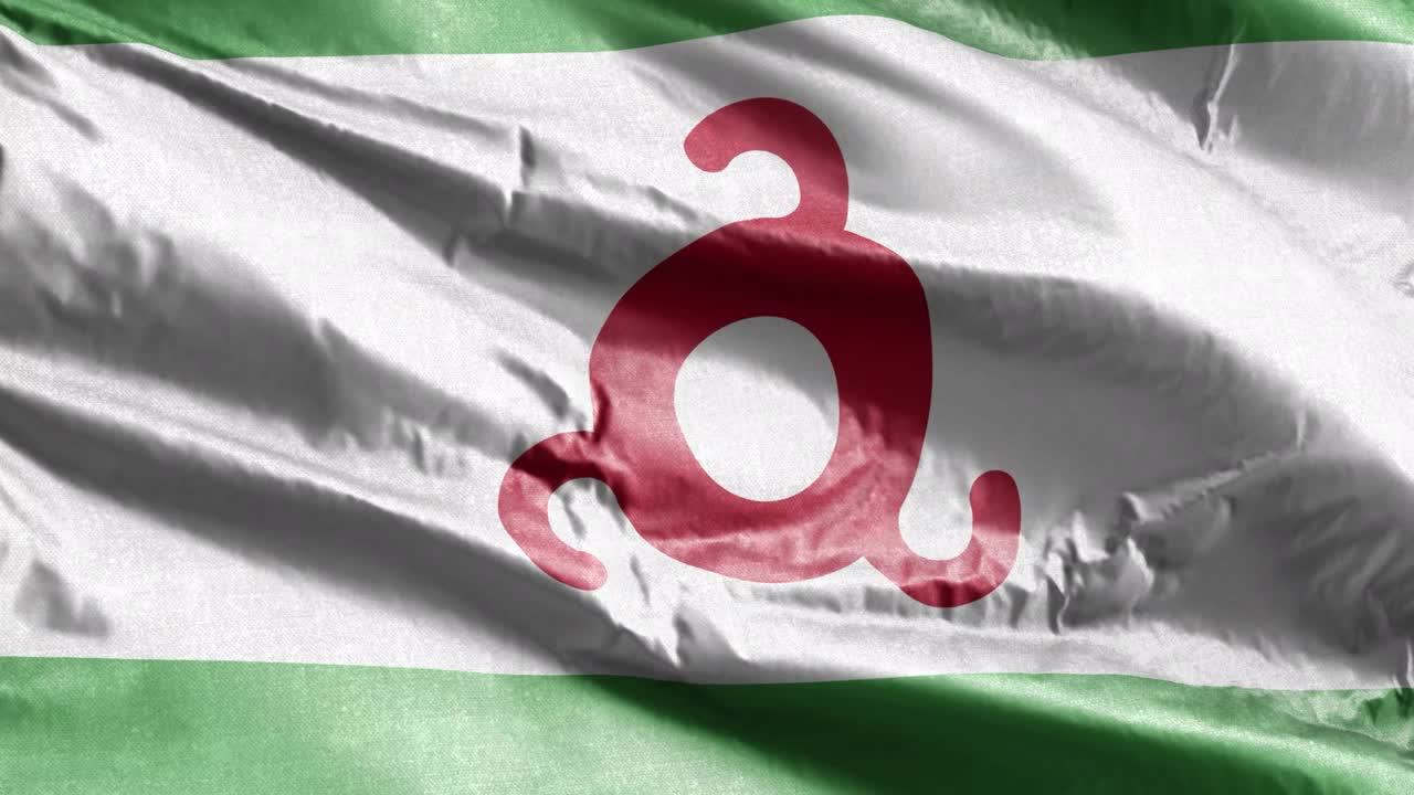 잉구셰티아 섬유 발은 바람의 에 천천히 흔들리고, 잉구슈티아의 발이 바람에 부드럽게 흔들려, 배경이 완전히 채워져, 20 초의 이.