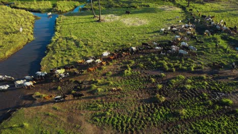 aerial view of the morogoro town in  tanzania