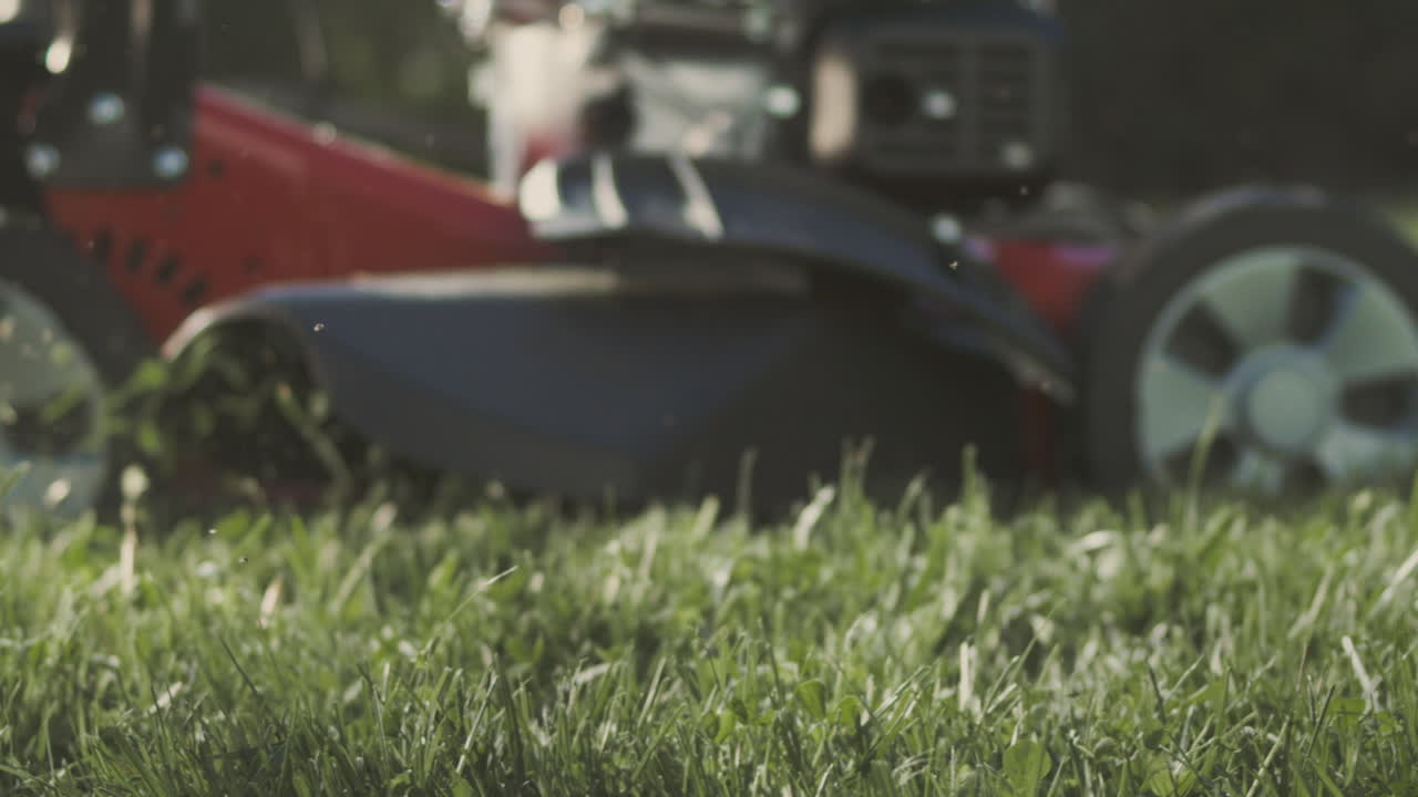 마당 에 있는 잔디 기 기계