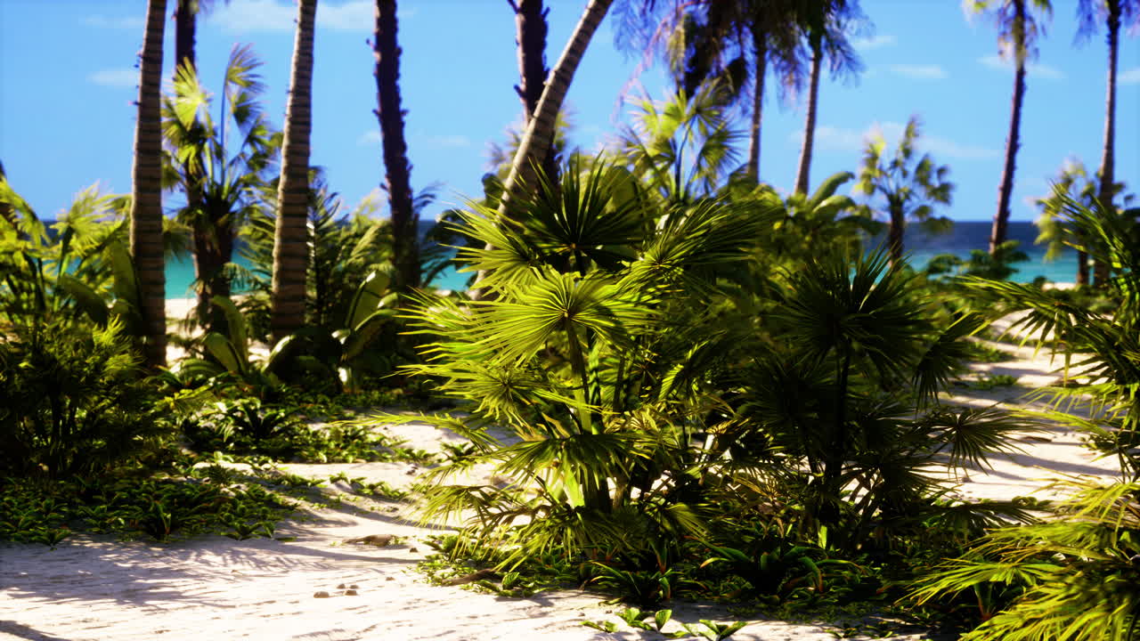 코코넛 야자수와 열 대 해변