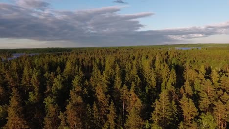 Aerial-of-a-lake-and-forest-in-Sweden