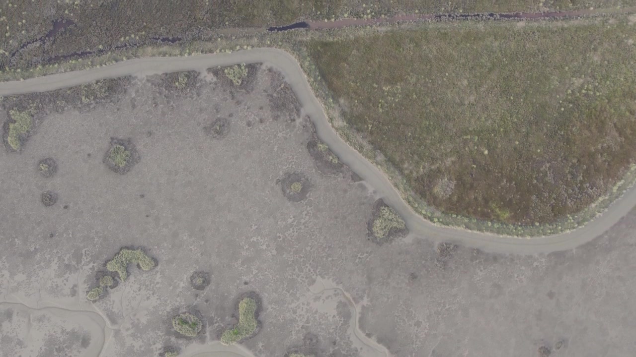 Drone flies forward in a vertical aerial view above exposed marsh flats, revealing the textured surface and natural patterns of the Campos del Tuyú wetland ecosystem.