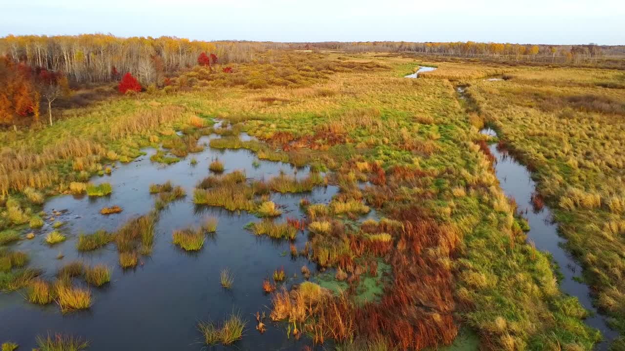Amazing aerial view of autumn wetlands landscape at sunset