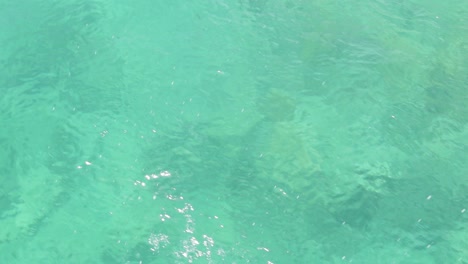 passing over beautiful blue waters from in a boat in tobago, west indies