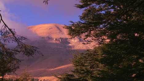 Pan-across-the-beautiful-mountains-of-Lebanon-with-cedar-trees-in-foreground