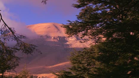 pan a través de las hermosas montañas del líbano con árboles de cedro en primer plano