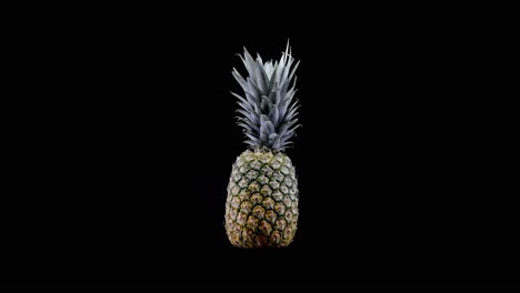 full pineapple fruit with crown spins quickly on black background