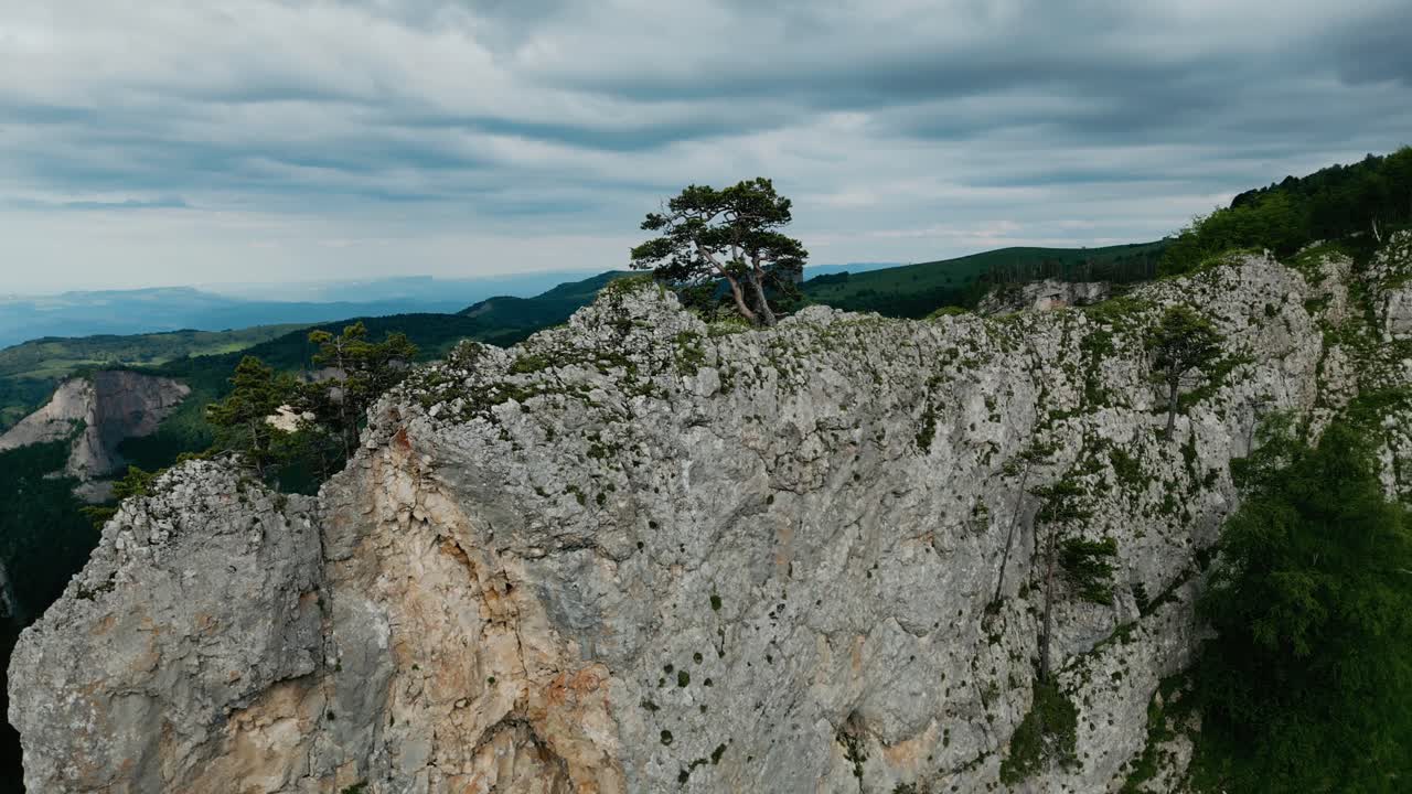 árbol solitario en la cima de la cresta rocosa del acantilado gris blanco en vietnam, retirada aérea