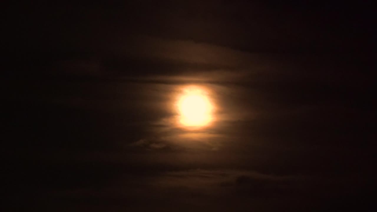 murciélagos volando más allá de una espeluznante luna llena de cosecha con nubes 4k