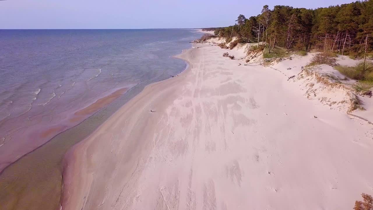 Ilmakuva Itämeren rannikosta aurinkoisena päivänä, jyrkät merenrantadyynit aaltojen vaurioittamina, katkenneita mäntyjä, rantaeroosio, ilmastonmuutos, eteenpäin liikkuva laajakulmainen ja ylöspäin kallistuva dronekuva