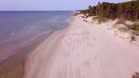 aerial view of baltic sea coast on a sunny day, steep seashore dunes damaged by waves, broken pine trees, coastal erosion, climate changes, wide angle revealing drone shot moving forward, tilt up