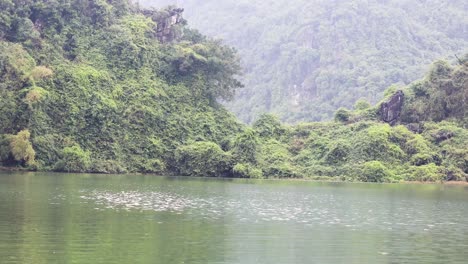 calm river surrounded by lush greenery