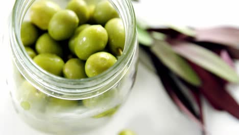 jar with green olives and olive leaves