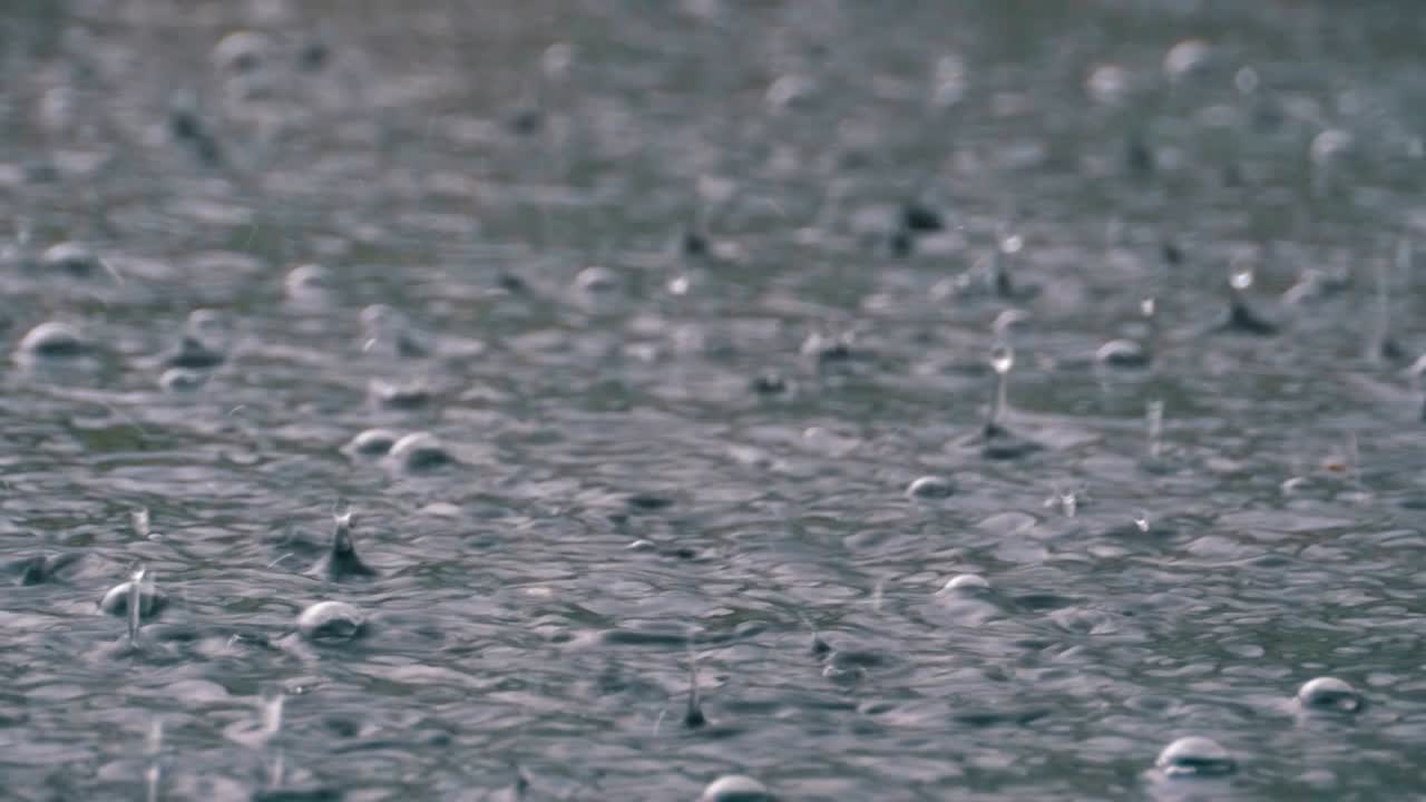 폭우 때 큰 비방울이 웅이에 떨어집니다. 물방울