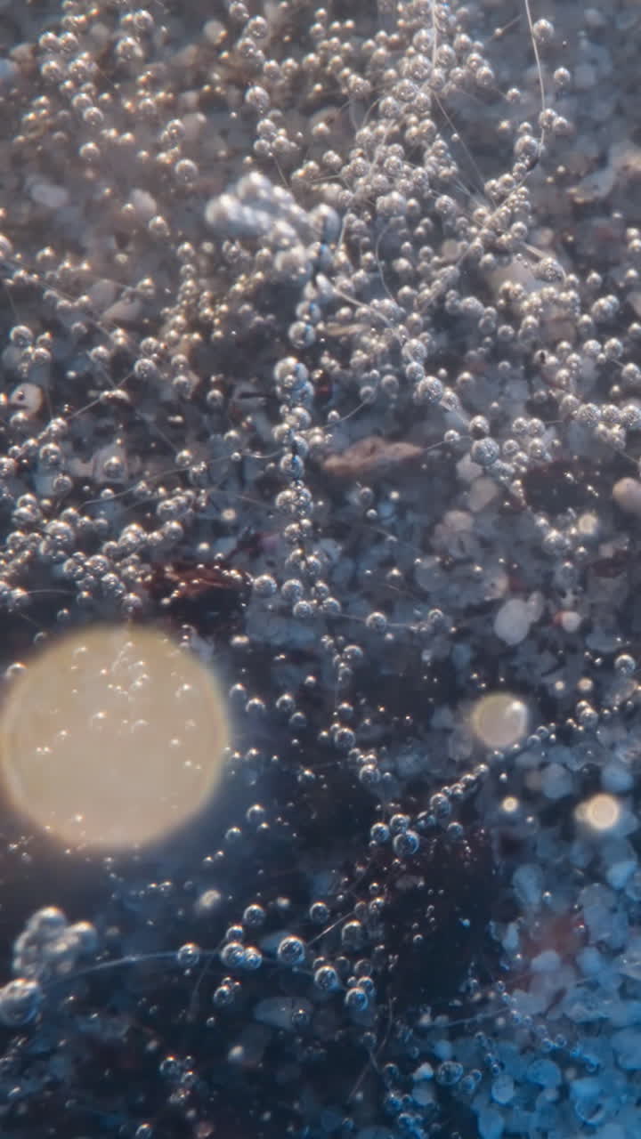 Transparent air bubbles rise up from blue seabed saturating water body with oxygen. Light reflects off gas bubbles. Fantastic sea view of underwater world