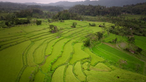 Aerial-orbital,-lush-green-landscape,-Sidemen,-idyllic-farmland-scene