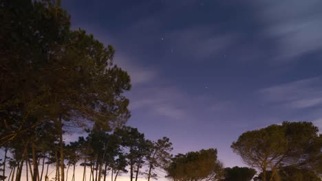 Portugal-Wald-Starlapse-4k-01