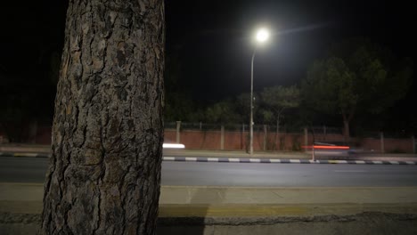 cars driving by at night street time lapse with lamppost in background and tree trunk in foreground