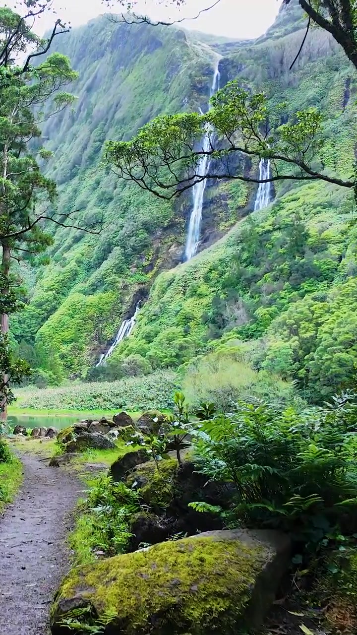 Hutan tropis yang indah dengan air terjun bertingkat di Poco da Ribeira do Ferreiro di Pulau Flores, Azores, Portugal