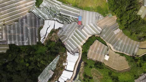 general landscape view of the brinchang district within the cameron highlands area of malaysia