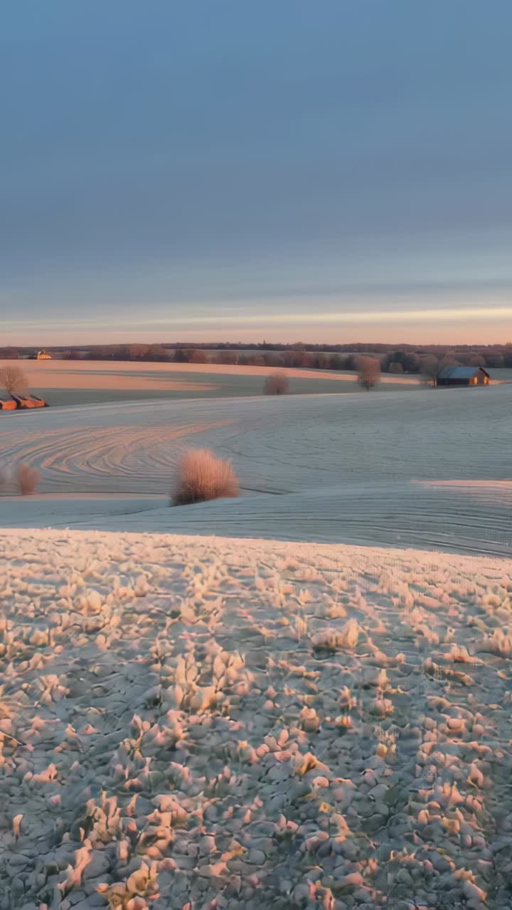 Vertical video: Panning camera following low sun, revealing frosted field furrows and distant barns