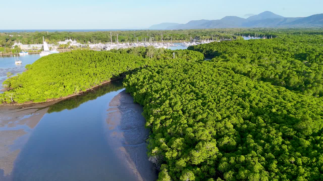 Drone footage captures lush mangroves and a marina at low tide in Port Douglas, Australia, under bright daylight