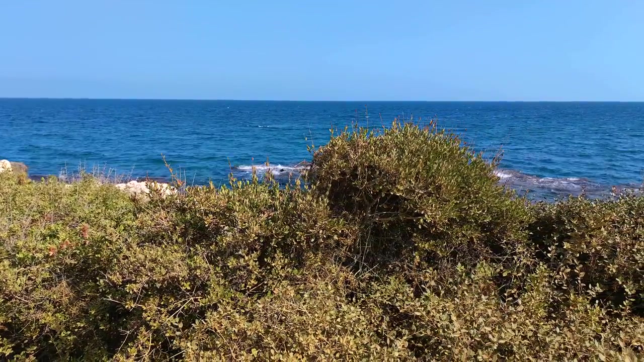 Scenic View of Mediterranean Sea Coastline with Green Bushes