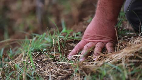 field, worker, soil, hands, working, agriculture, farming, harvest, field, crop, nature, landscape, rural, countryside, worker, man, male, person, human