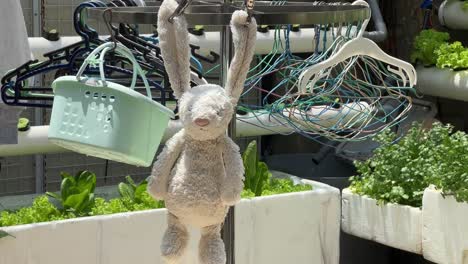 children's emotional transition object, dirty plush toy rabbit hanging and drying under bright sunlight after washing, domestic environment