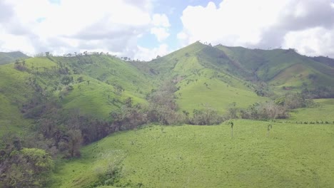 paisajes áridos revelan años de agricultura de tala y quema en la república dominicana