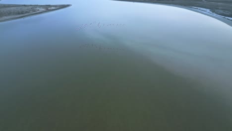 Birds-flying-over-calm-lake