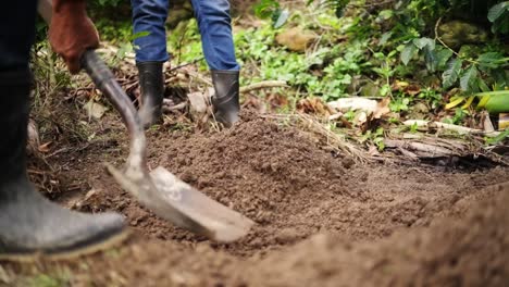 close up view in slow motion of a farmer working the soil with a shovel in a farm.