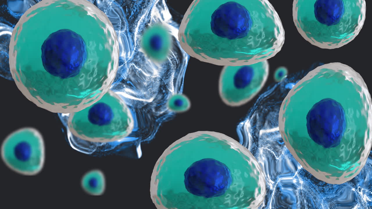 검은 바탕에 있는 인간 신체 세포의 애니메이션