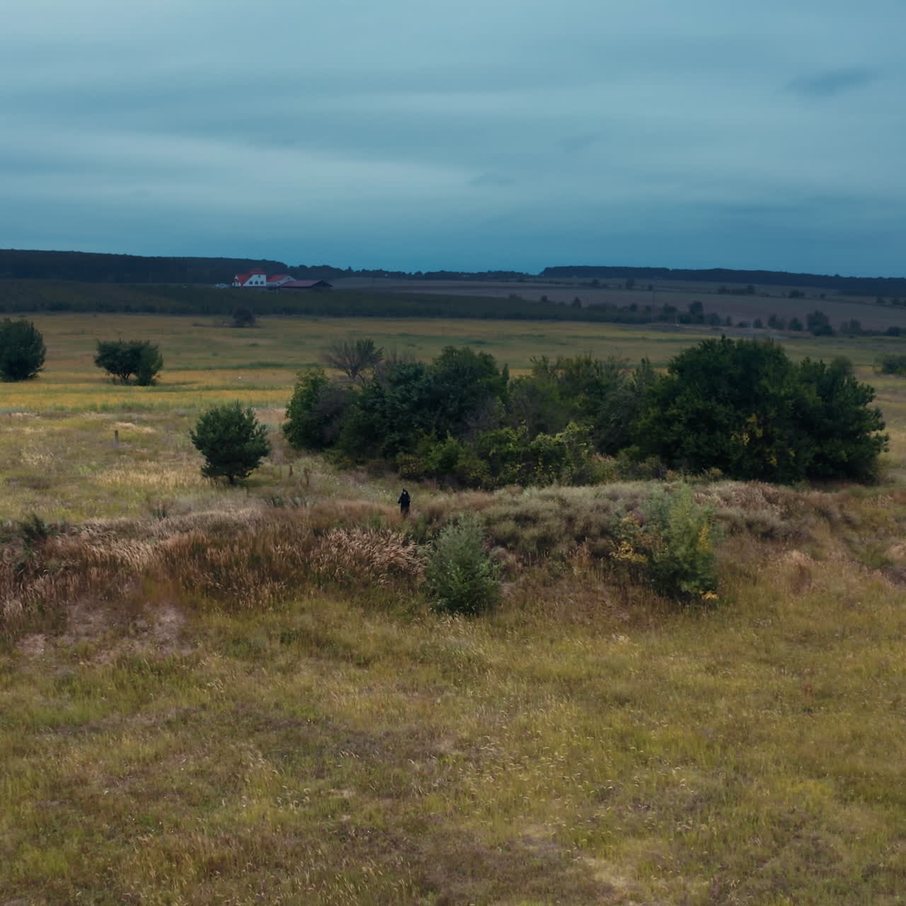 Scary death in black. Spooky figure in black mantle standing alone on the field near green trees. Drone view. Motion camera back.