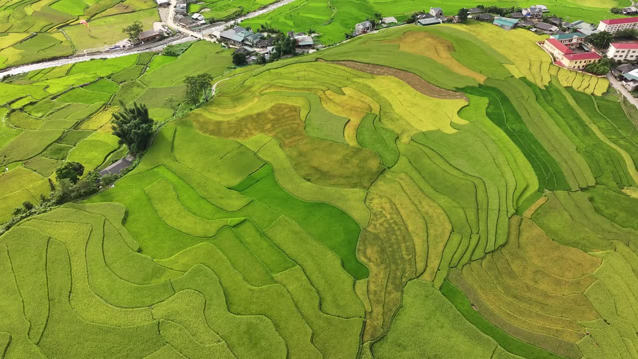 Aerial view of terrace rice field in Mu Cang Chai district, Vietnam