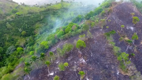 Aerial-view-of-smoking-tropical-forest-fires-burning,-in-the-mountains-of-Portugal,-Europe---tracking,-drone-shot