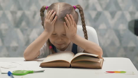 portrait of little girl with pigtails