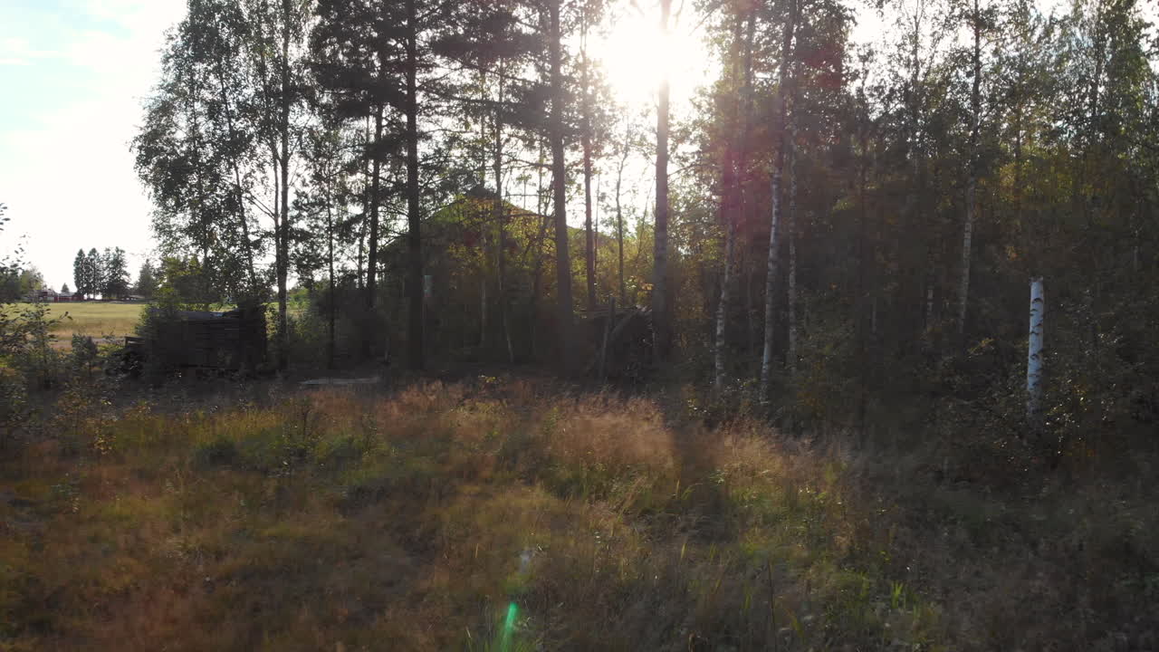 подъезд к заброшенному дому в лесу