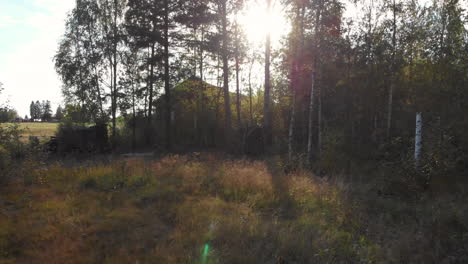 Closing-up-to-an-abandoned-house-in-the-forest