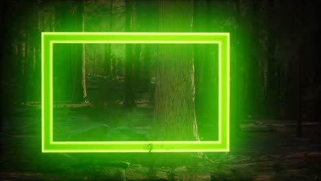 marco rectangular brillante de neón en el bosque nocturno