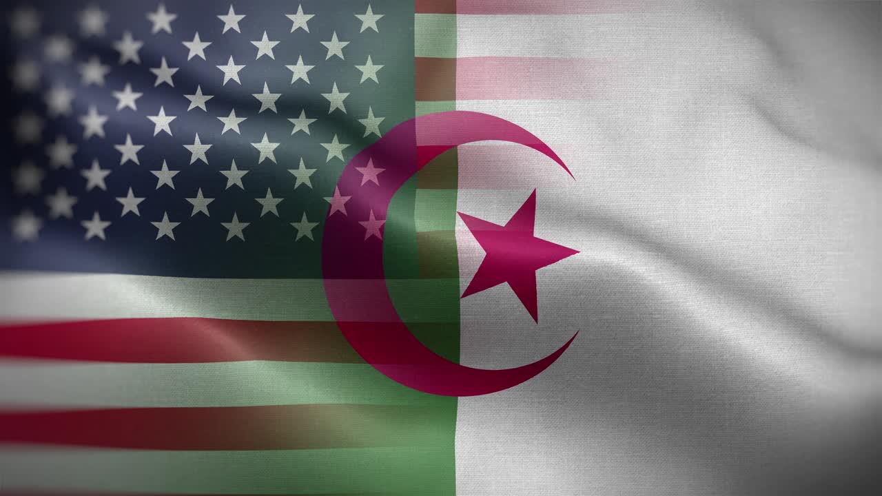 미국 알제리 발 루프 배경 4k