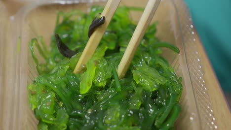 wakame japanese seaweed salad, green fresh asian meal, close up of dish and chopsticks