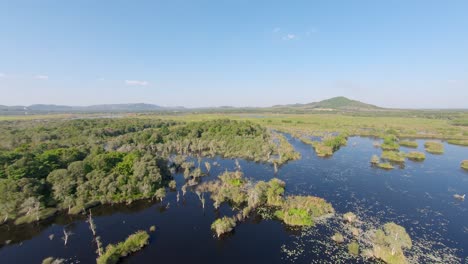 aerial: high lansdcape shot of botanical garden in rayong, thailand