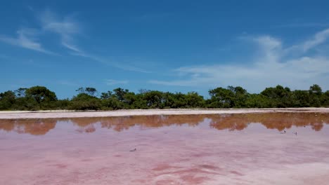 Pink-salt-lagoon-in-caribbean-island,-bright-water-reflection,-tilit-down,-los-roques