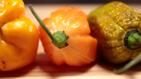 chiles en exposición