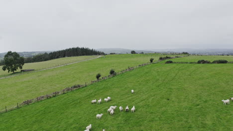 a serene landscape showcases sheep grazing on a vibrant green field bordered by hills and trees under a cloudy sky. the atmosphere is calm and picturesque, ideal for nature lovers.
