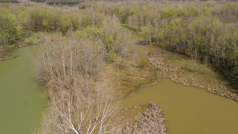 Vista-Aérea-De-Los-árboles-Que-Crecen-A-Orillas-Del-Río-Blanco-De-Bifurcación-Media-En-Un-Día-Soleado-En-Arkansas,-Ee.uu.