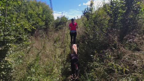 Punto-De-Vista:-Dos-Perros-Se-Unen-A-Una-Joven-En-Una-Caminata-Por-Un-Estrecho-Sendero-Rural