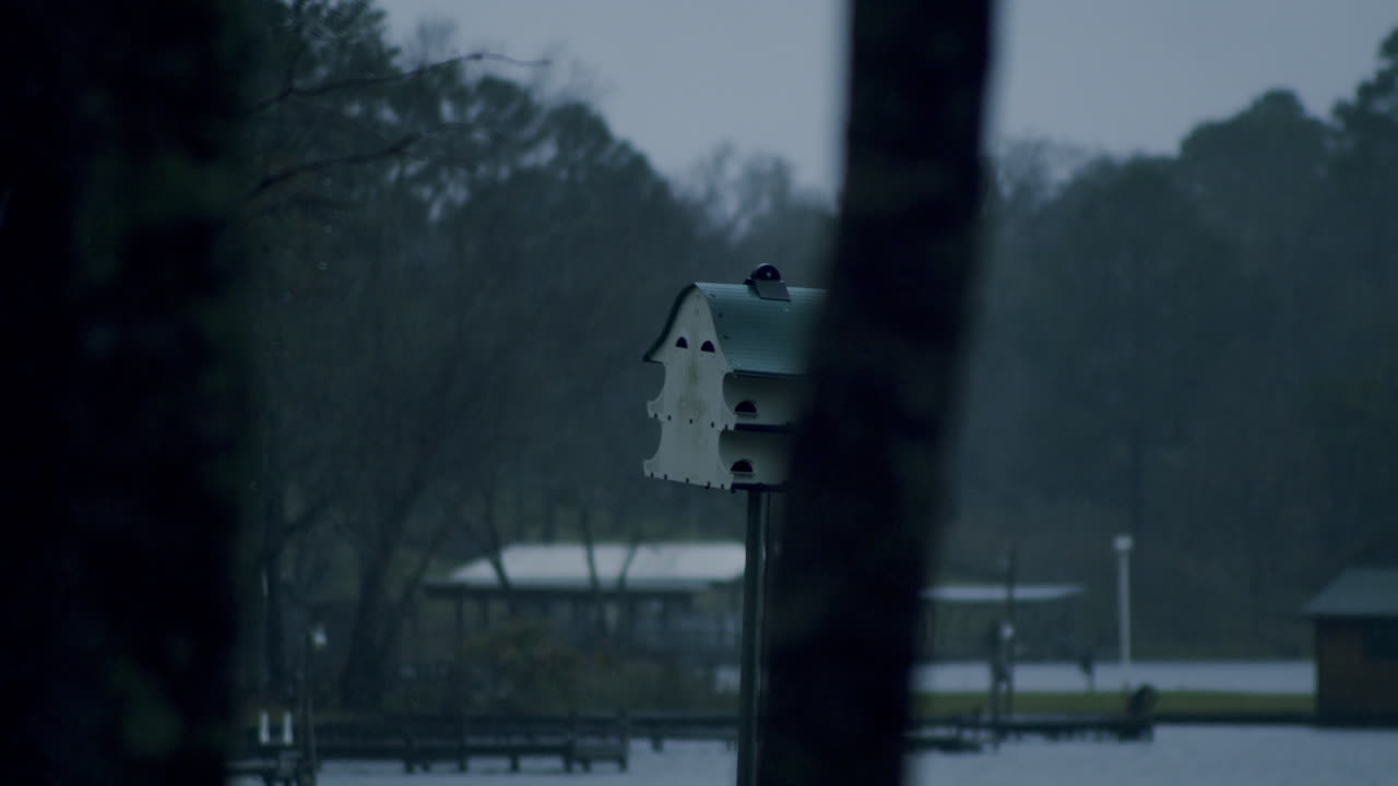 A birdhouse, partially obscured by a tree, sits in light rain with a boat dock visible in the background. The scene captures a rainy atmosphere, blending nature and the quiet presence of the dock.