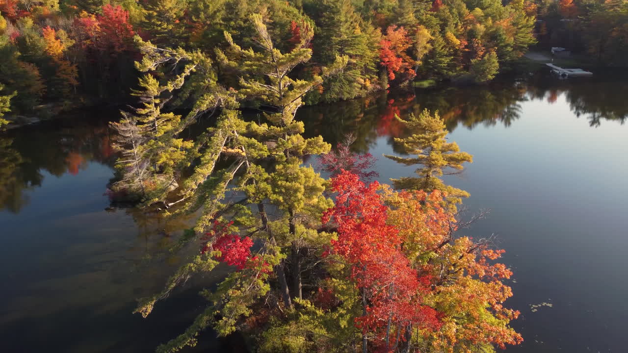 Drone rotating around water tree with magnificent colorful leaves of fall through mirrored lake with reflection of trees in water inside Algonquin Provincial Park, Ontario, Canada